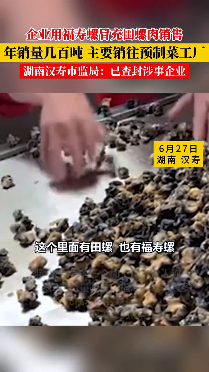 企业用福寿螺冒充田螺肉销售 年销量几百吨:已查封涉事企业