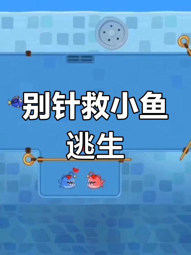 灯笼鱼和鲨鱼的追逐战,我如何用别针逃脱并吃鸡腿?
