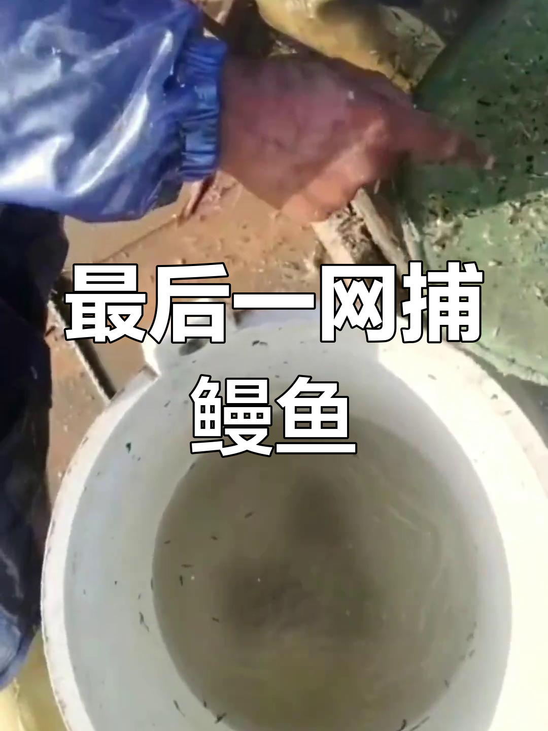 禁鱼期前的最后一网,渔民忙碌抓鳗鱼苗