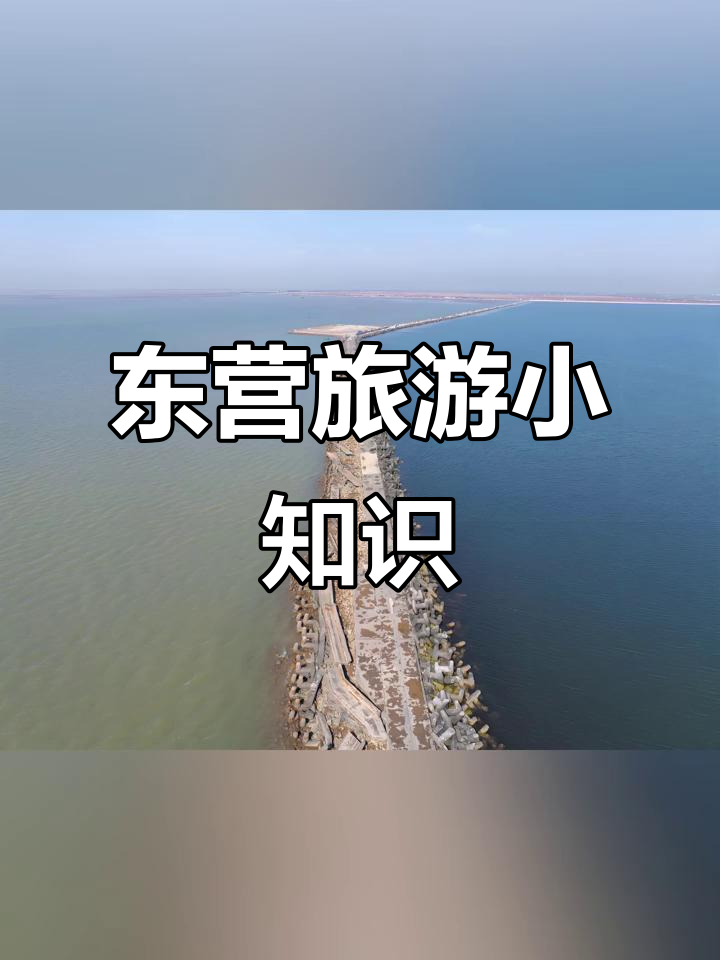 东营市十大必游景点,探秘黄河口与天鹅湖
