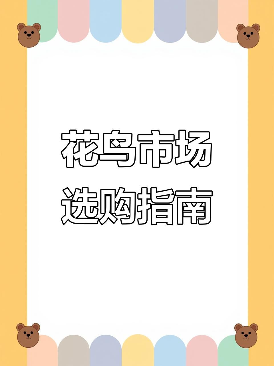 广州花鸟市场,25元仓鼠超值!选购技巧大揭秘!