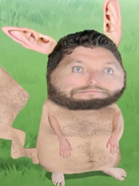 肌肉宝可梦出击!