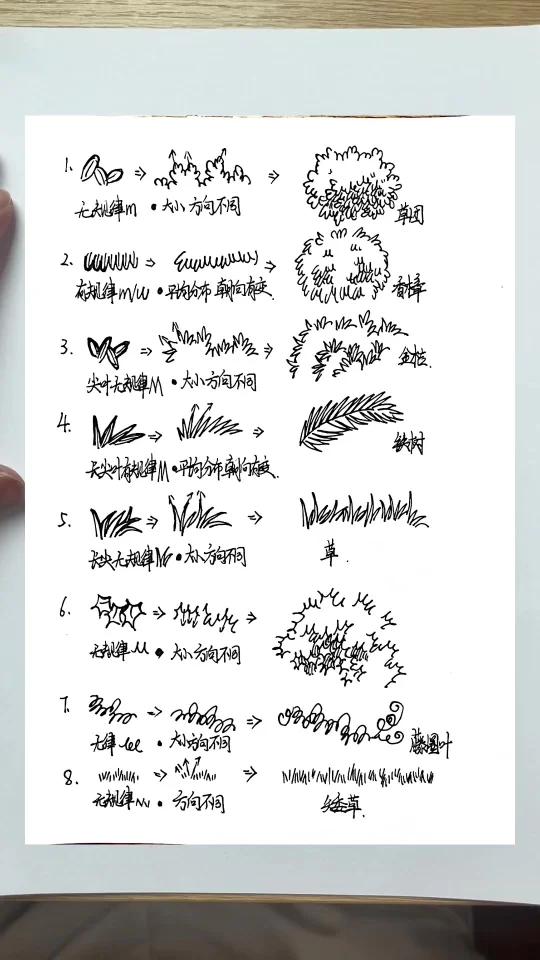 绘画全过程:全类植物线 怎么画?