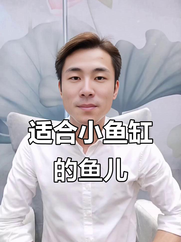 小鱼缸里能养什么？这些超耐养的鱼类推荐给你