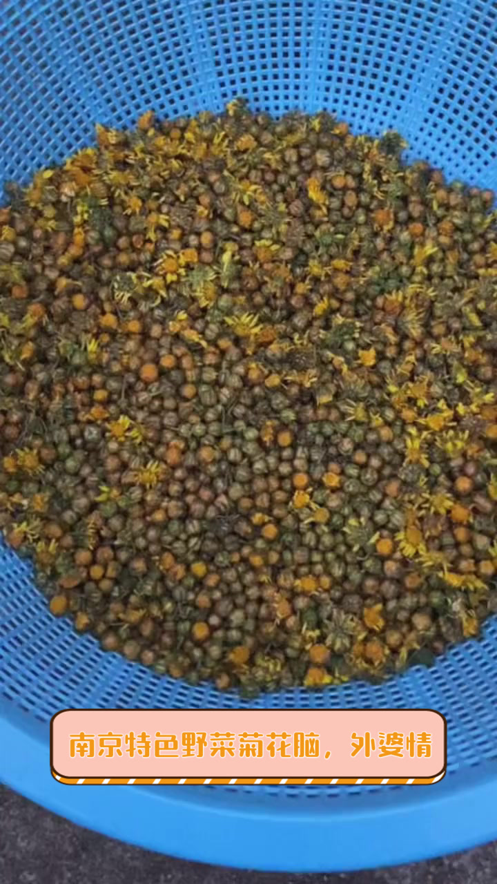 南京特色野菜菊花脑，外婆情