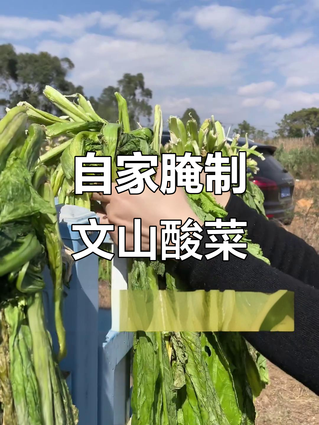 文山马小酸自家腌制的酸菜,口感超赞!