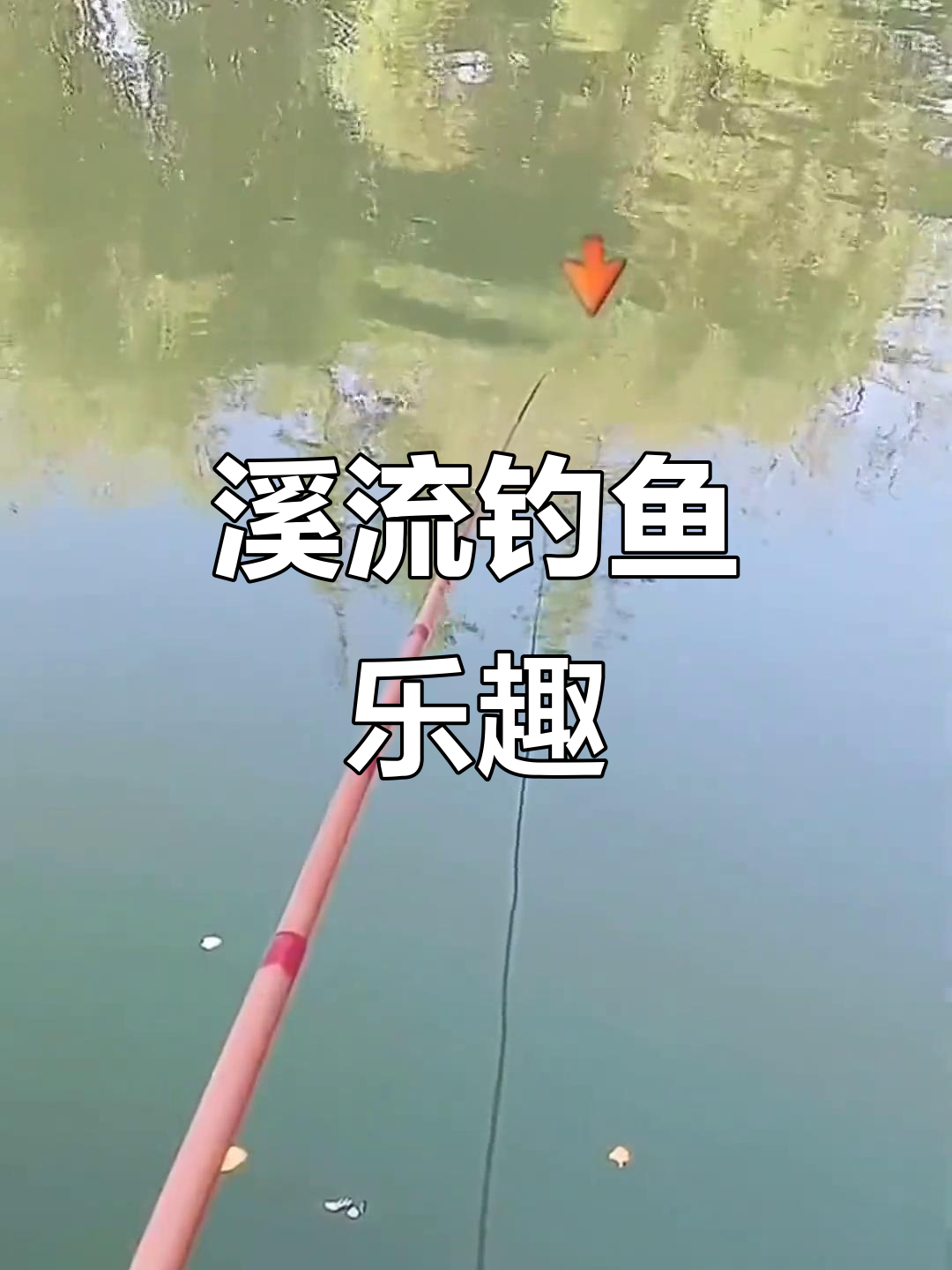 溪流钓挑战:深水中的勾嘴鱼与小狗嘴
