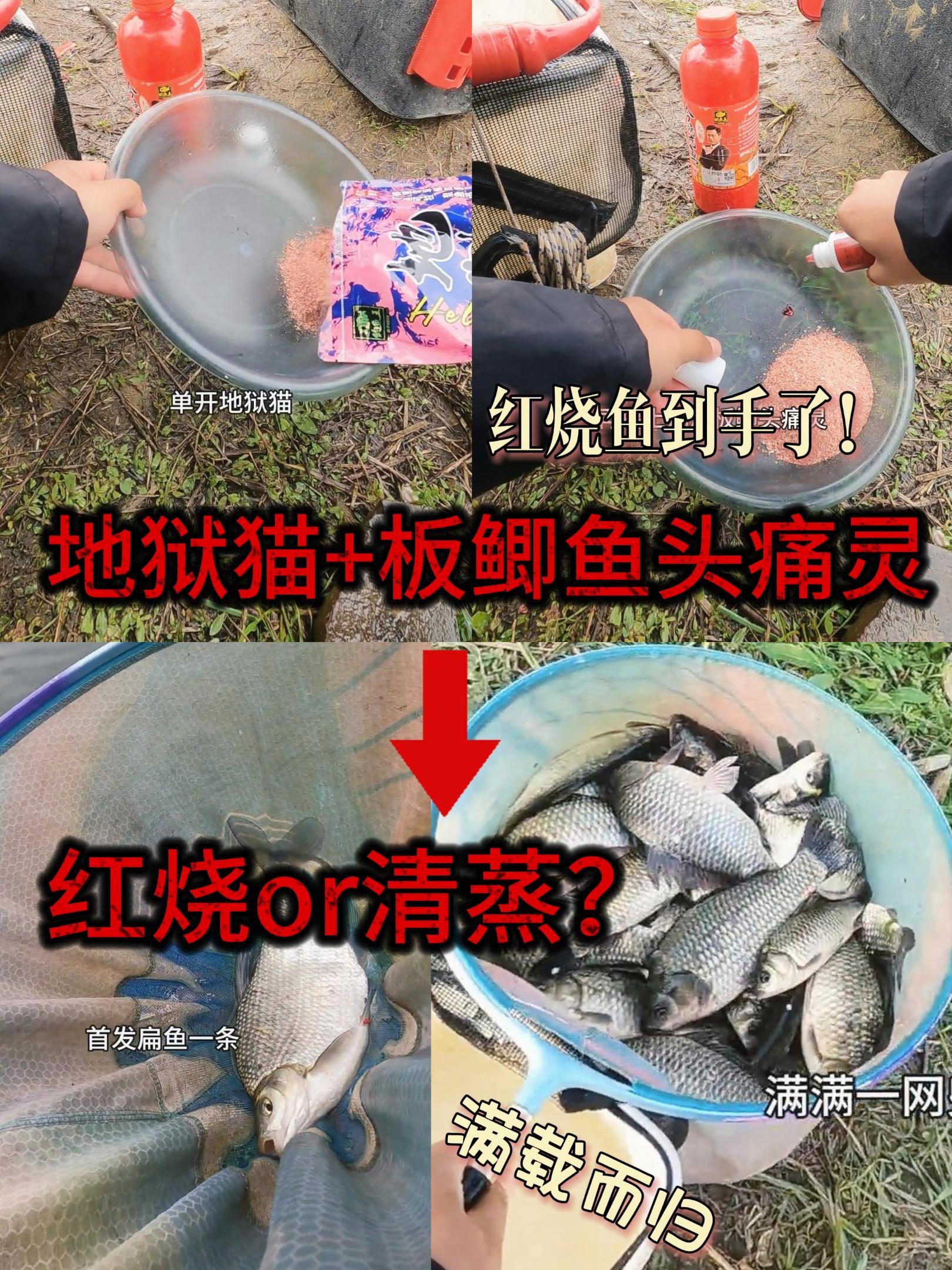 双十一限时返场,活动继续,14号结束,鱼竿饵料都有折扣 收获 收获满满!原来钓鱼才是抖音运