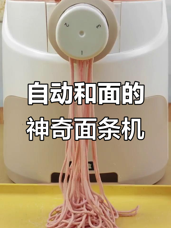 10分钟搞定新鲜面条,龙须面、饺子皮都能轻松做
