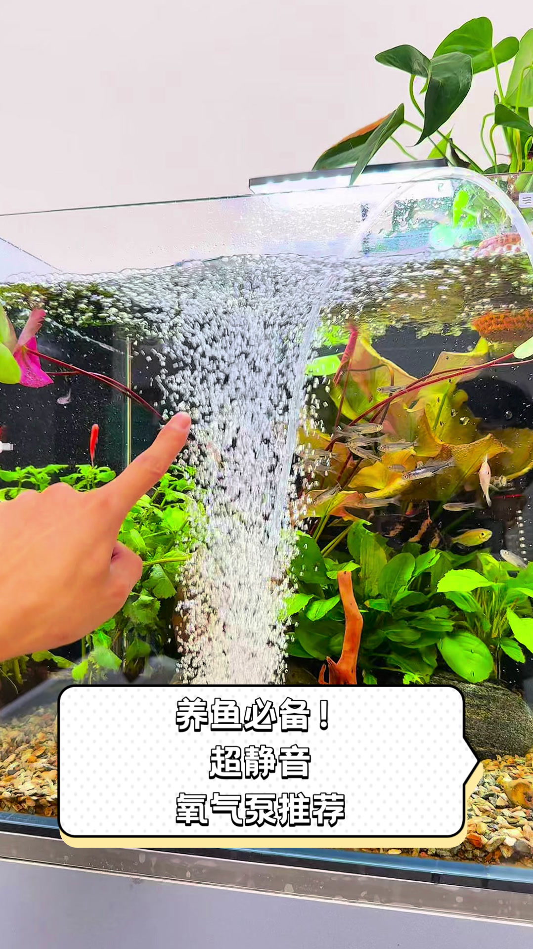 养鱼必备!超静音氧气泵推荐