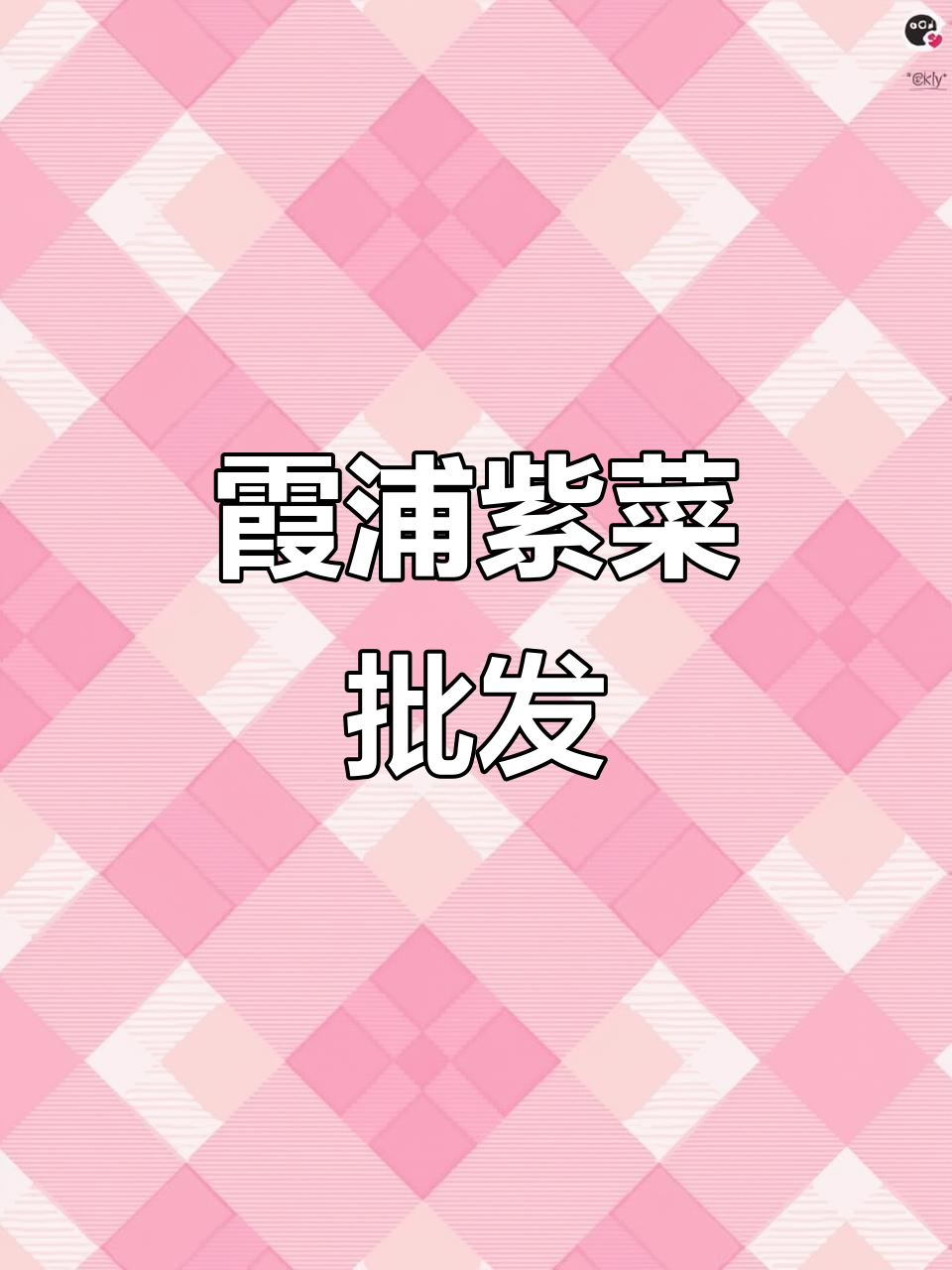 霞浦头水紫菜:源头好货,全国发货,餐饮供应链合作首选