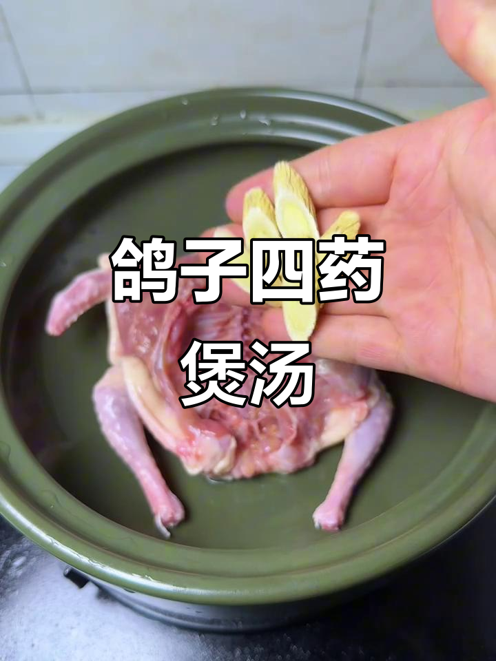 一只鸽子，四种药材煲汤，恢复元气满满