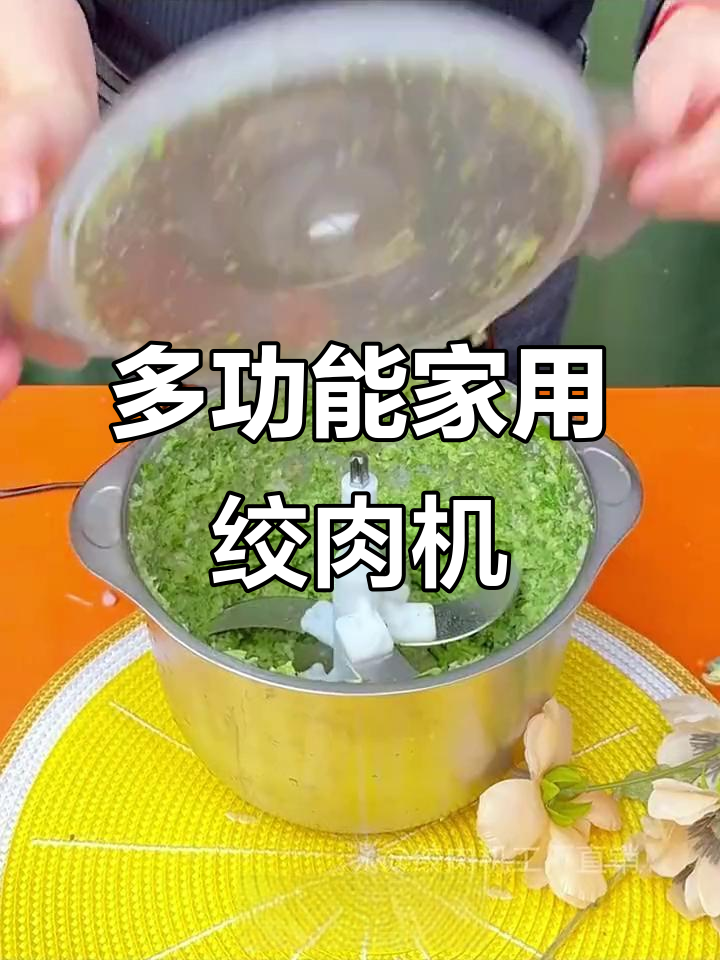 家用绞肉机，多功能料理，性价比高，轻松制作各种馅料