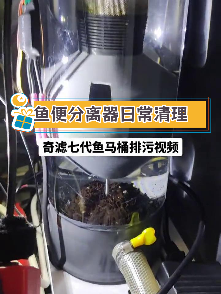 龙鱼缸粪便分离器使用与排污过程