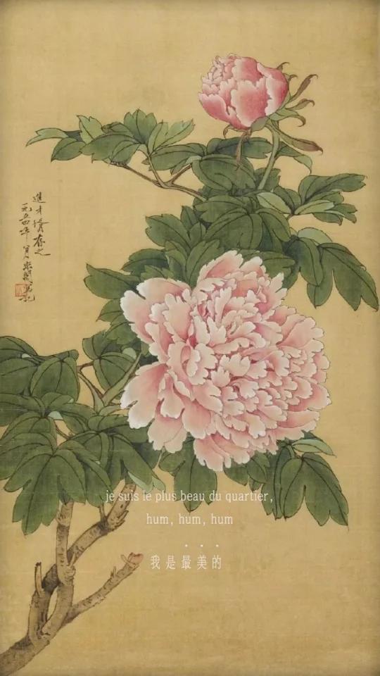 「历代名家画花鸟牡丹」牡丹作为花鸟画重要素材,不管工笔或写意都不能缺少独立存在,有美好象征
