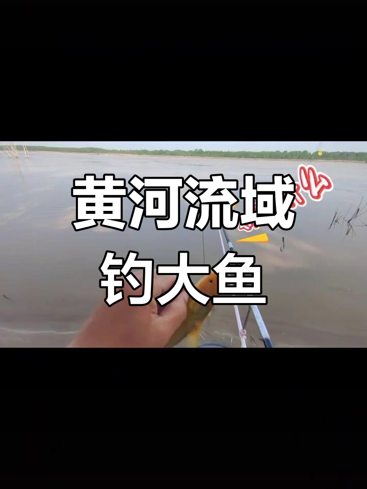 黄河钓鱼挑战:深水区钓大牛尾,惊险刺激!