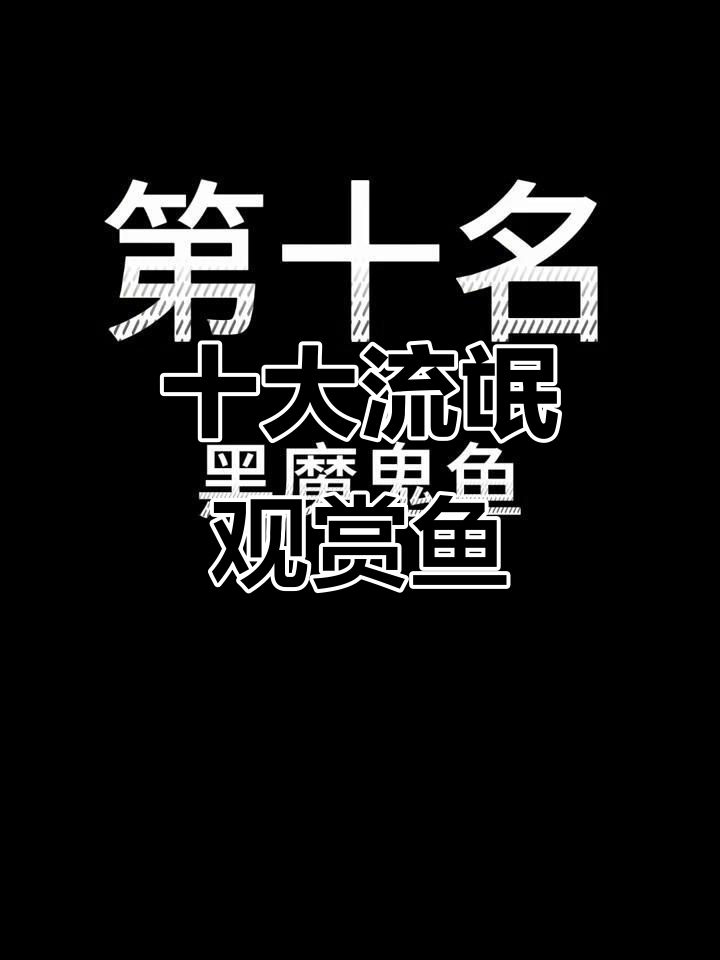 水族圈最“嚣张”的观赏鱼，看看你养过哪些！