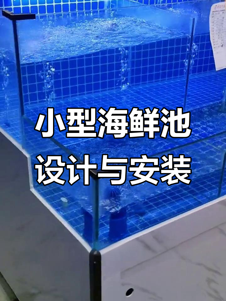 饭店定制海鲜池与淡水鱼缸设计,双过滤系统轻松维护