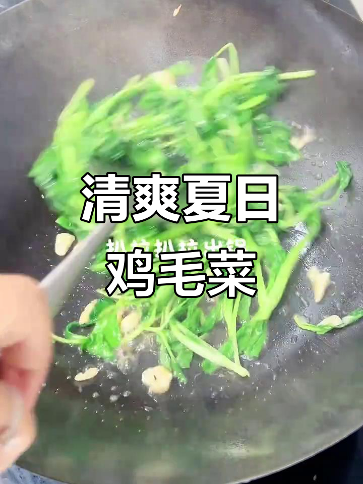 夏日清爽，五分钟炒出美味鸡毛菜，解腻又简单