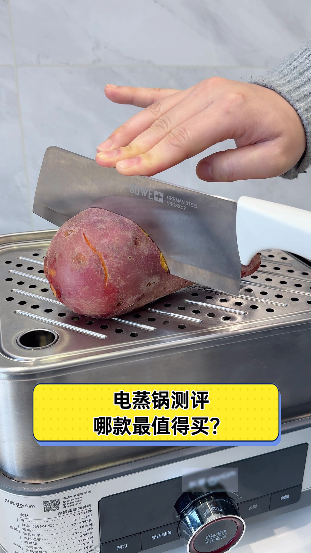 电蒸锅测评,哪款最值得买?