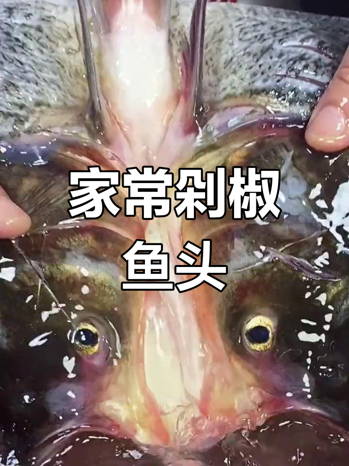胖头鱼做剁椒鱼头的最佳选择,家庭版做法简单又美味