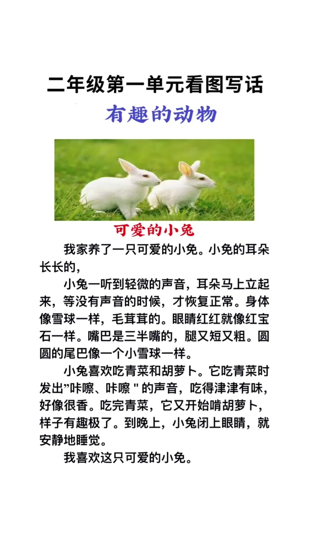 二年级习作第一单元《有趣的动物》看图写话