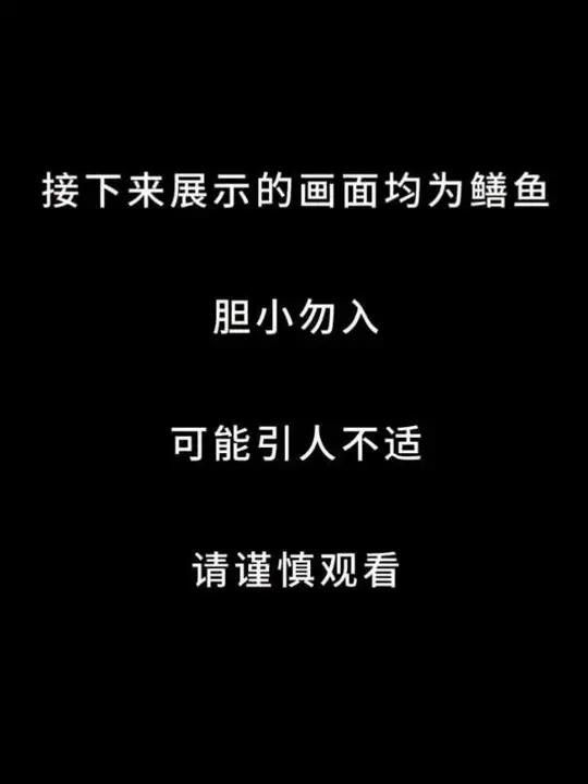 包乡村鱼塘体验乡村生活