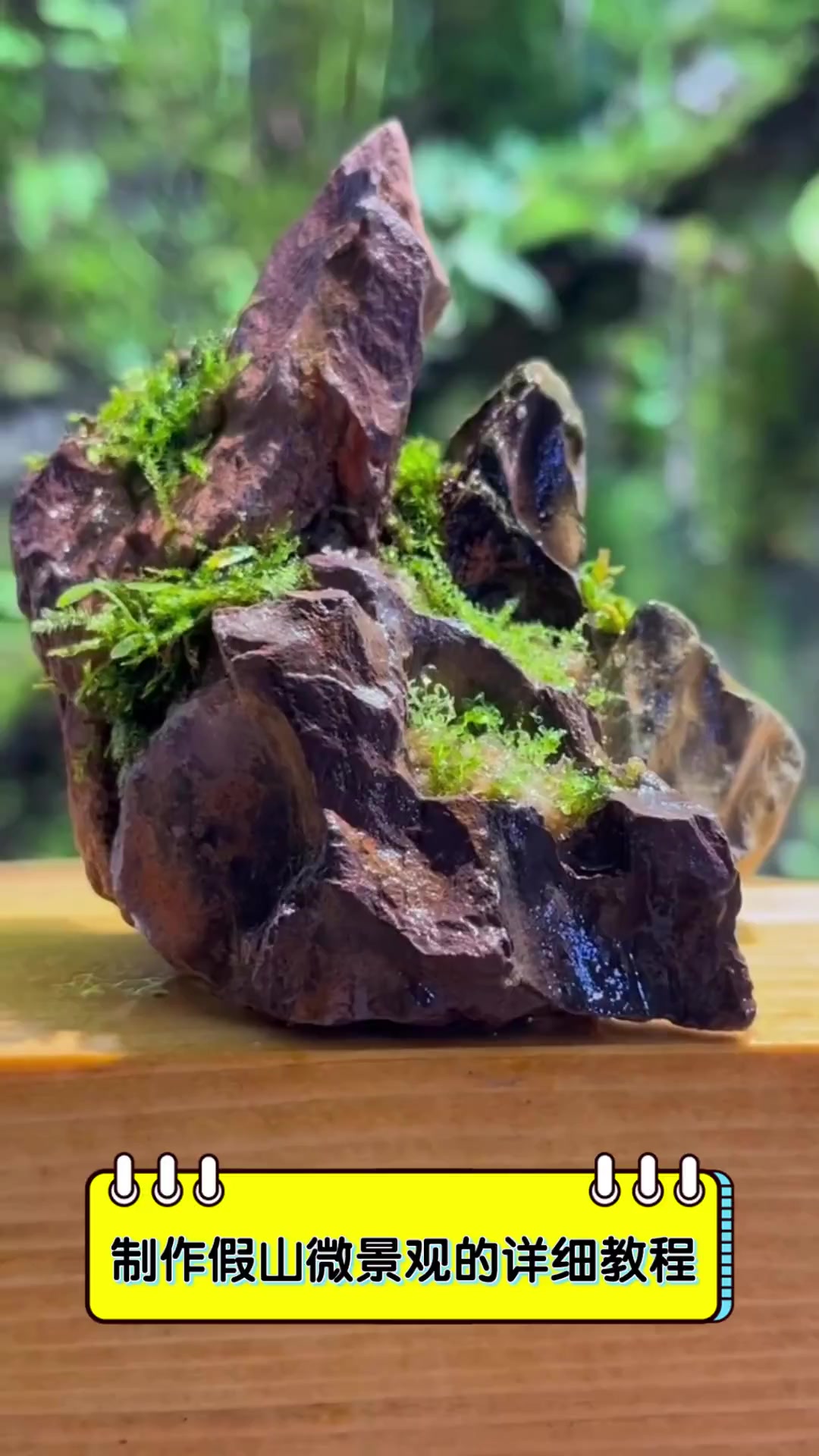 制作假山微景观的详细教程