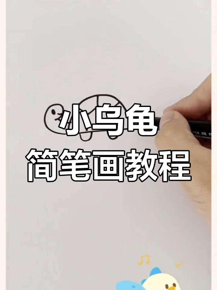 简单画法教宝宝学乌龟