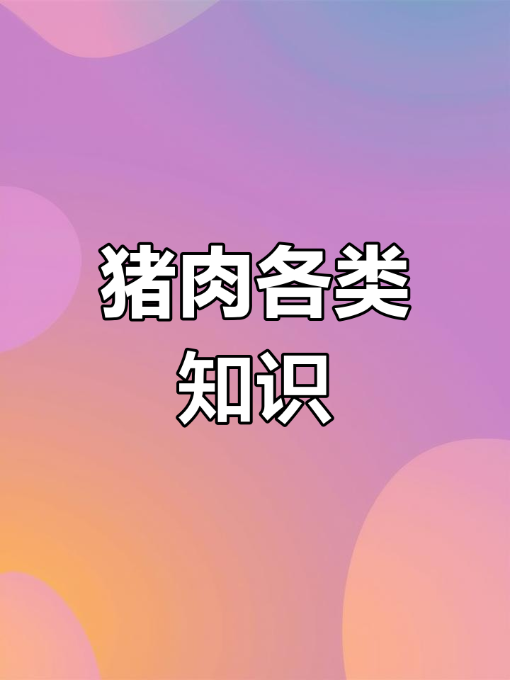 猪肉类全解析:从五花肉到碎肉的详细分类