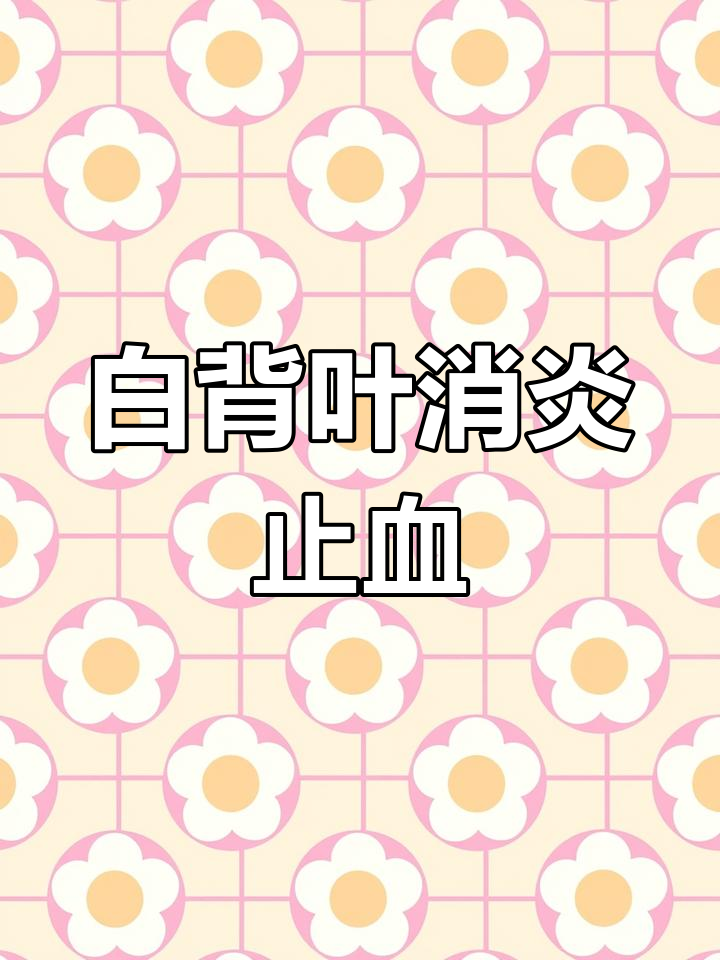 白背叶的神奇功效