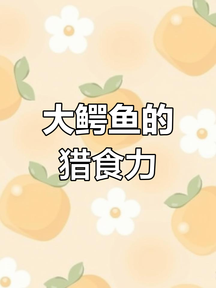 全球最大鳄鱼,七米长,捕杀老虎轻而易举