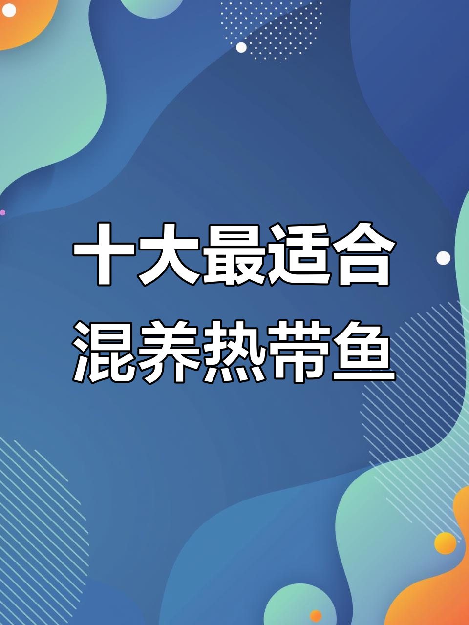 适合混养的十种热带观赏鱼,活泼又美丽
