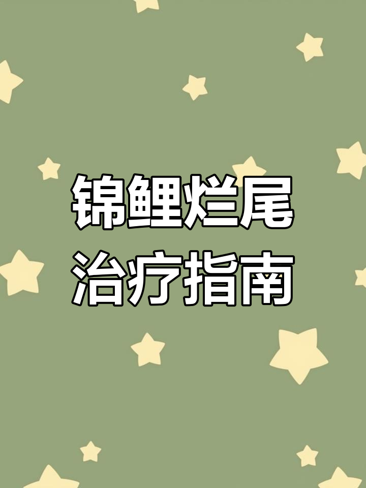 锦鲤烂尾治疗与打针技巧,快速恢复健康