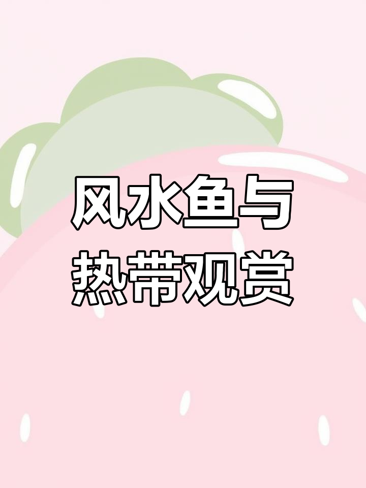 风水鱼招财,热带观赏鱼的魅力与寓意