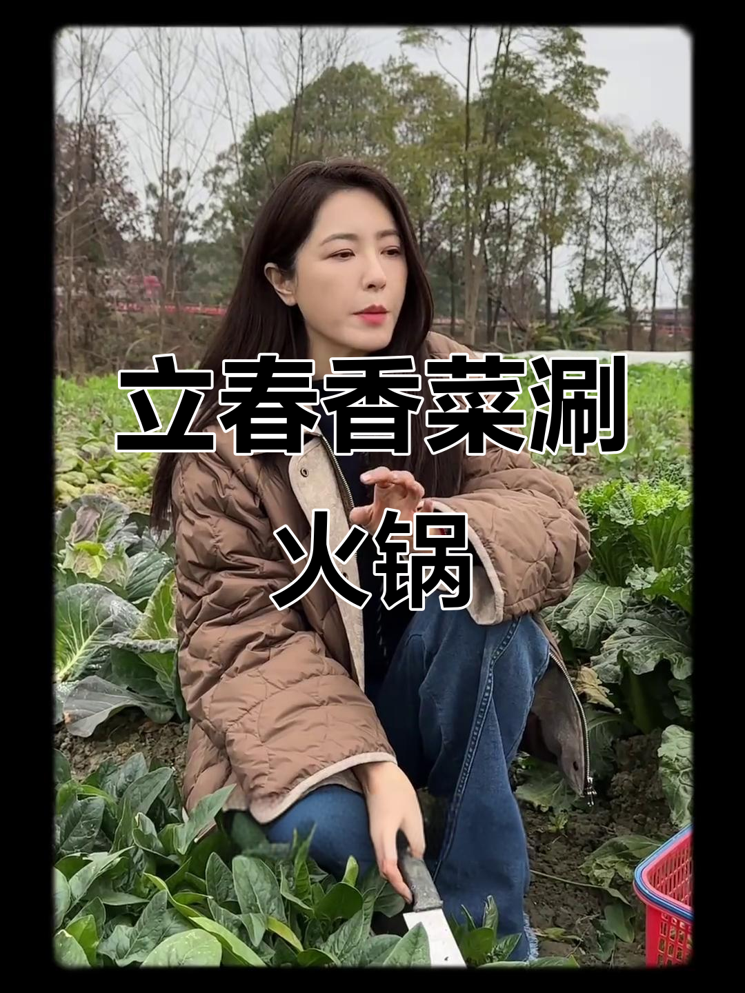 四川香菜火锅新吃法,立春必试!