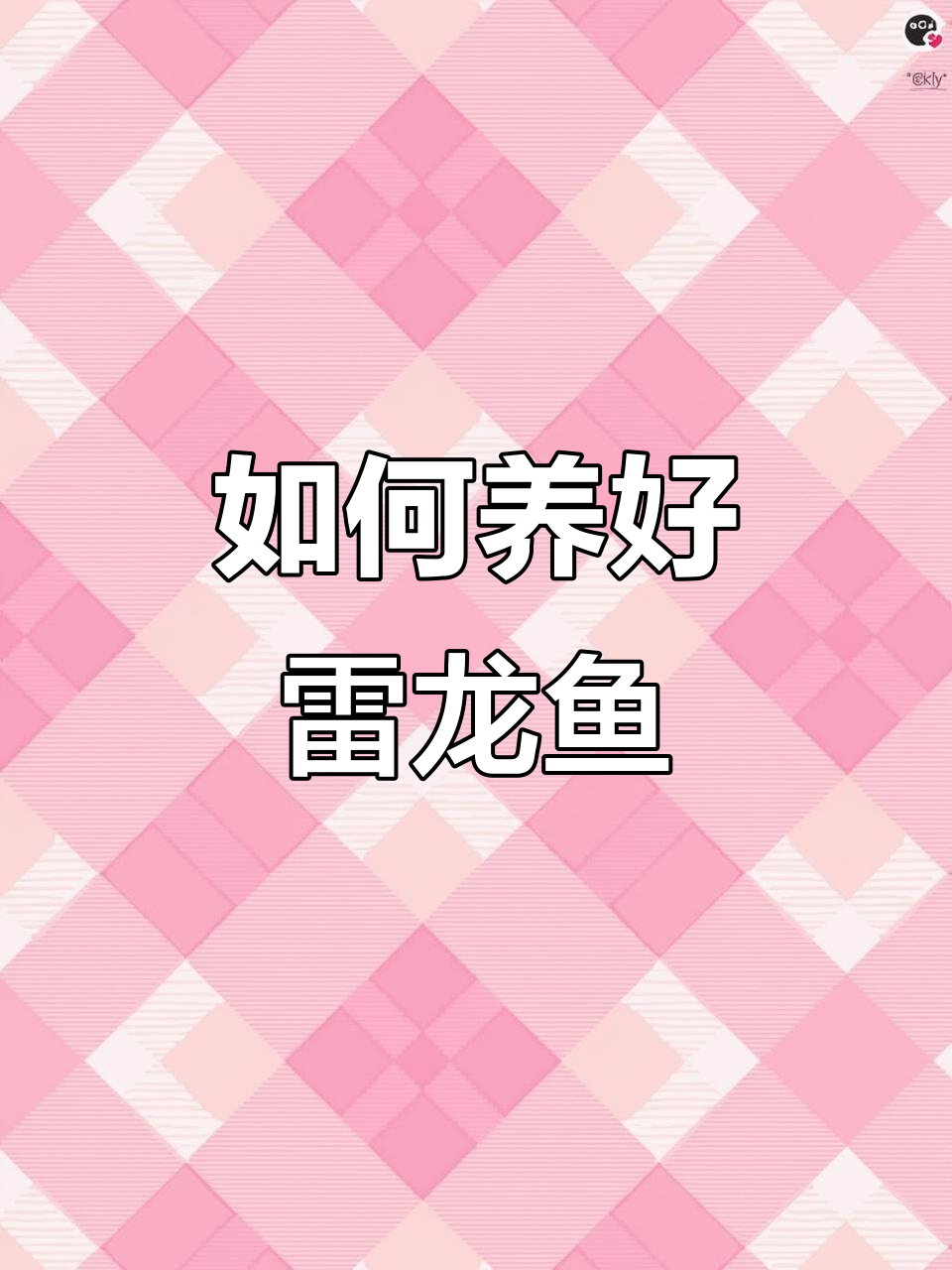 黄金眼镜蛇雷龙鱼养殖技巧:环境、过滤与造景全解析