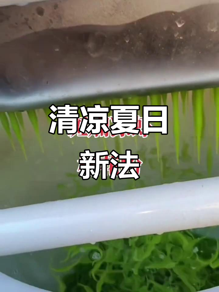 夏日清凉,槐花粉凉虾轻松煮,告别传统搅拌方式!