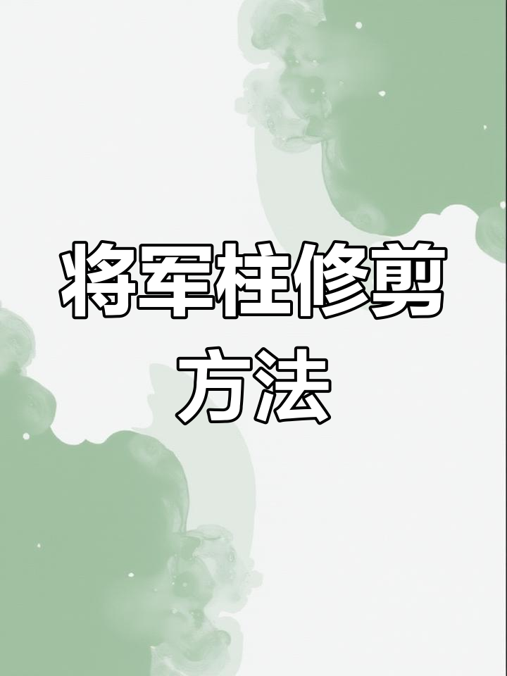 将军柱修剪技巧,打造美丽盆景