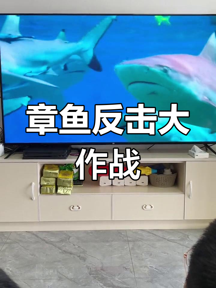 雪鲷与章鱼的生死时速:鲨鱼来袭,谁才是最后的赢家?