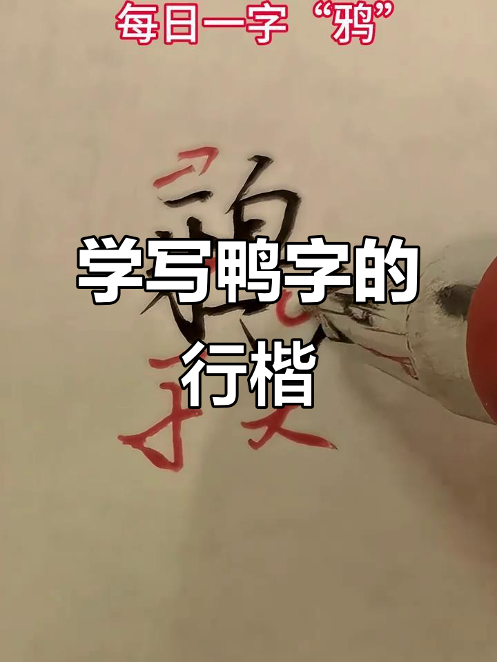 鸭字行楷写法详解:从左到右的结构技巧