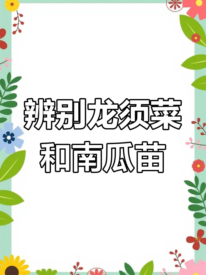 龙须菜与南瓜苗的区别,教你如何分辨