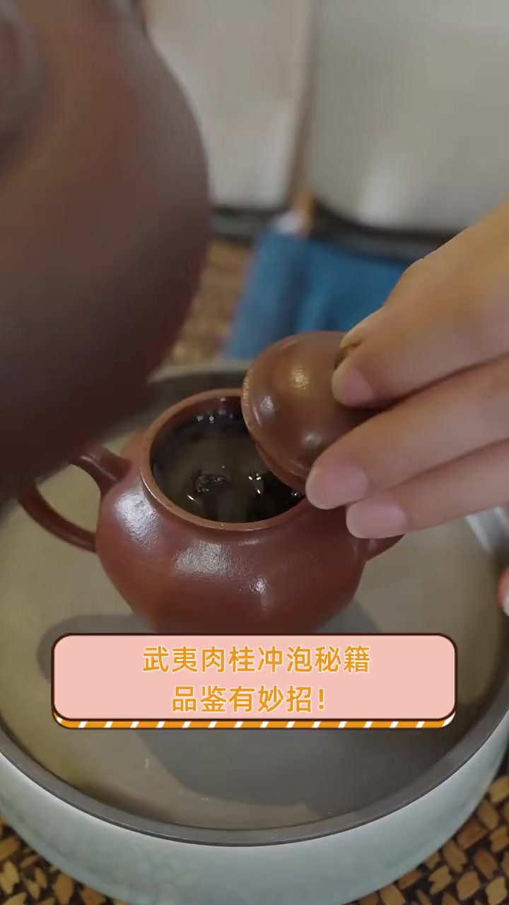武夷肉桂冲泡秘籍,品鉴有妙招!
