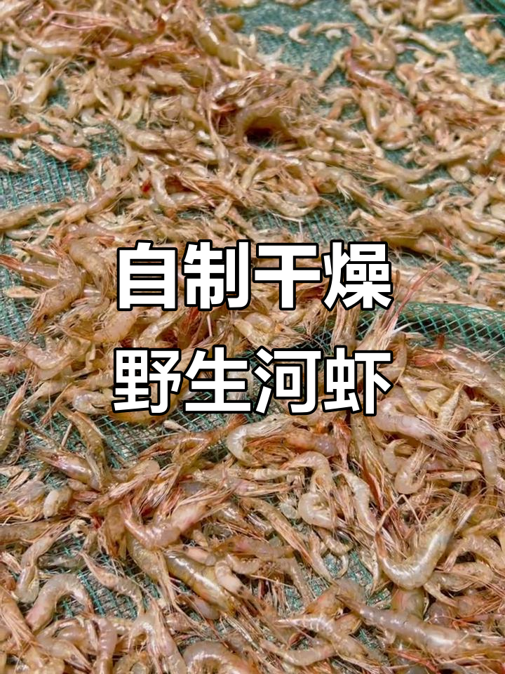 野生河虾晒干后吃不完,纯天然无添加