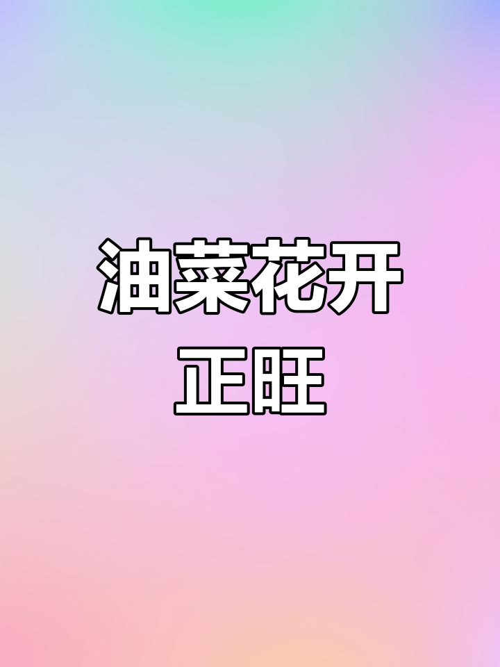 云南100万亩油菜花盛开,美景如画