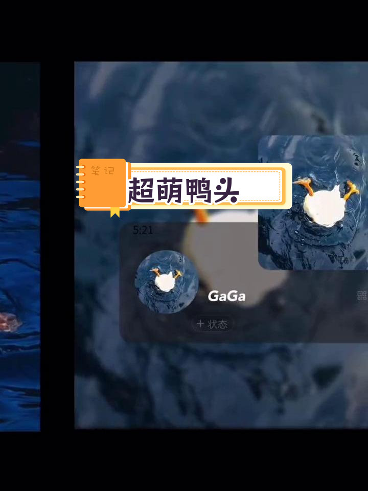 可爱鸭子头像,按压设计超萌