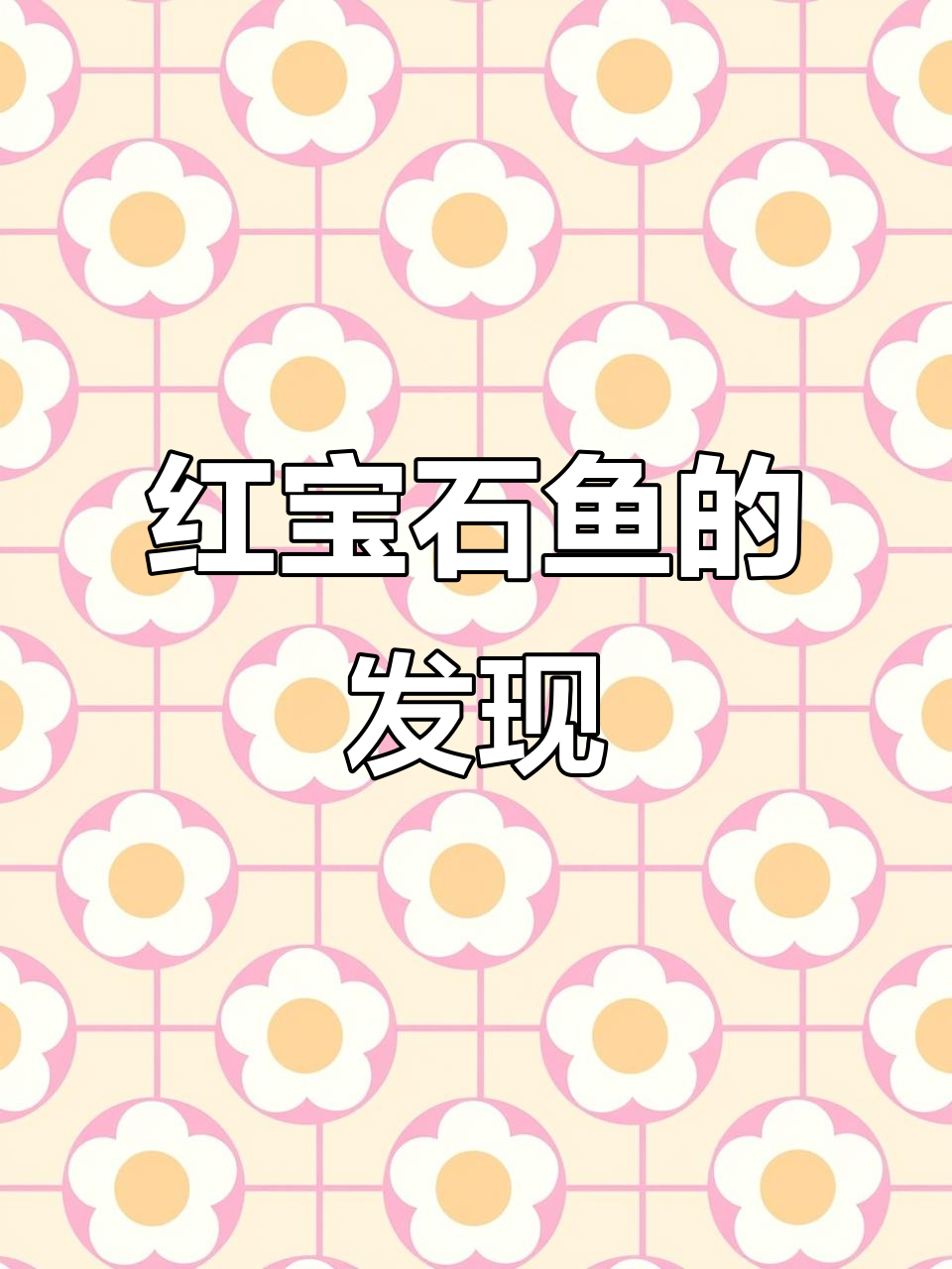 龙大师再次出击,红宝石鱼现身清溪!