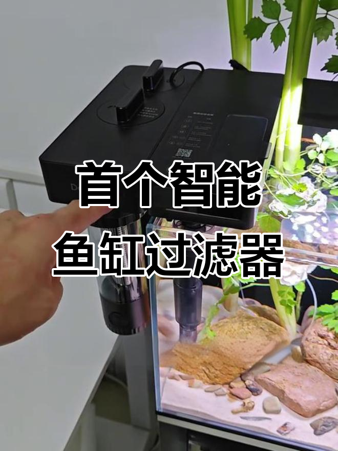 鱼缸智能净水机，自动喂食、过滤全搞定