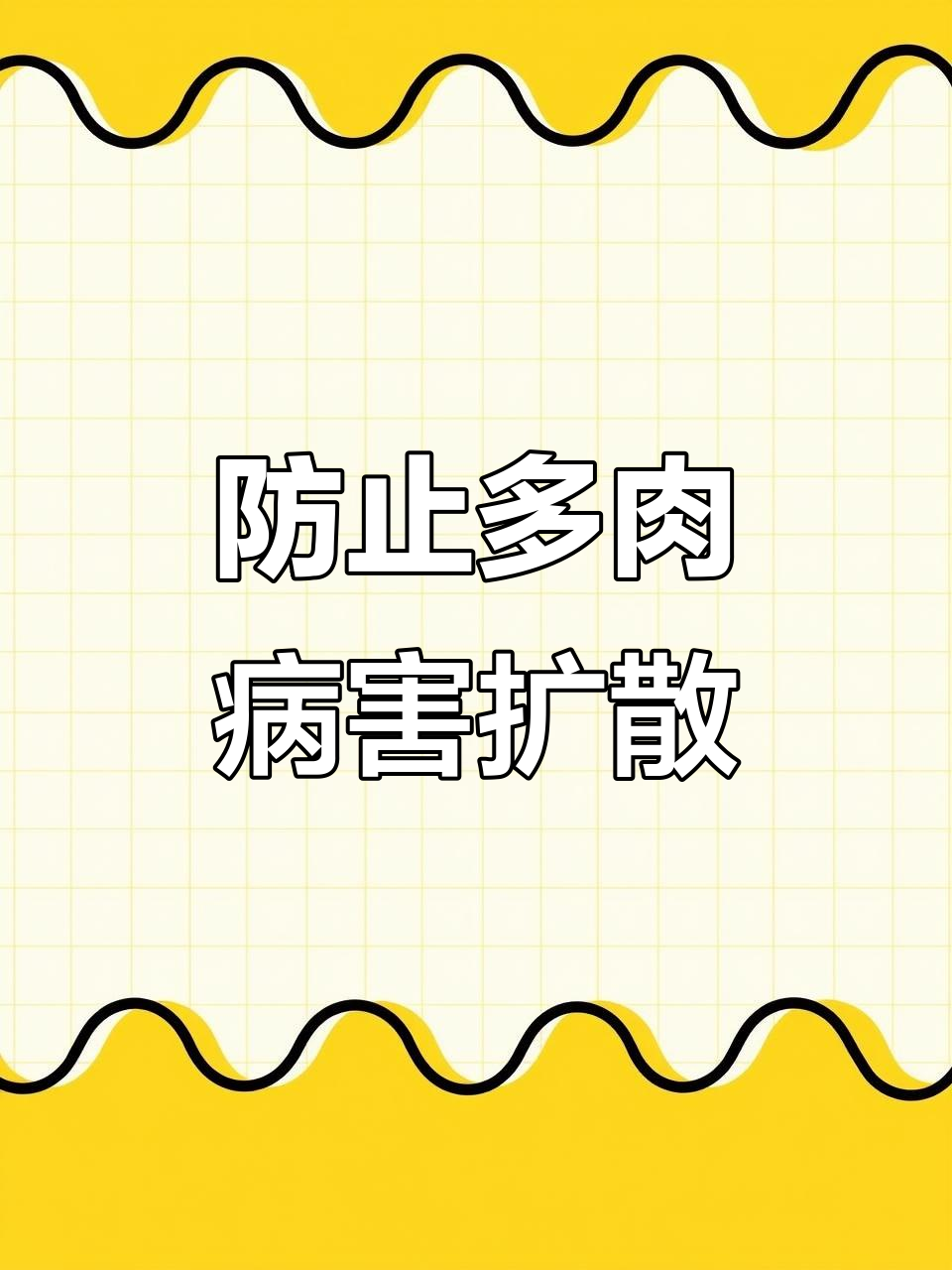 多肉植物煤烟病白粉病的防治方法,轻松搞定!