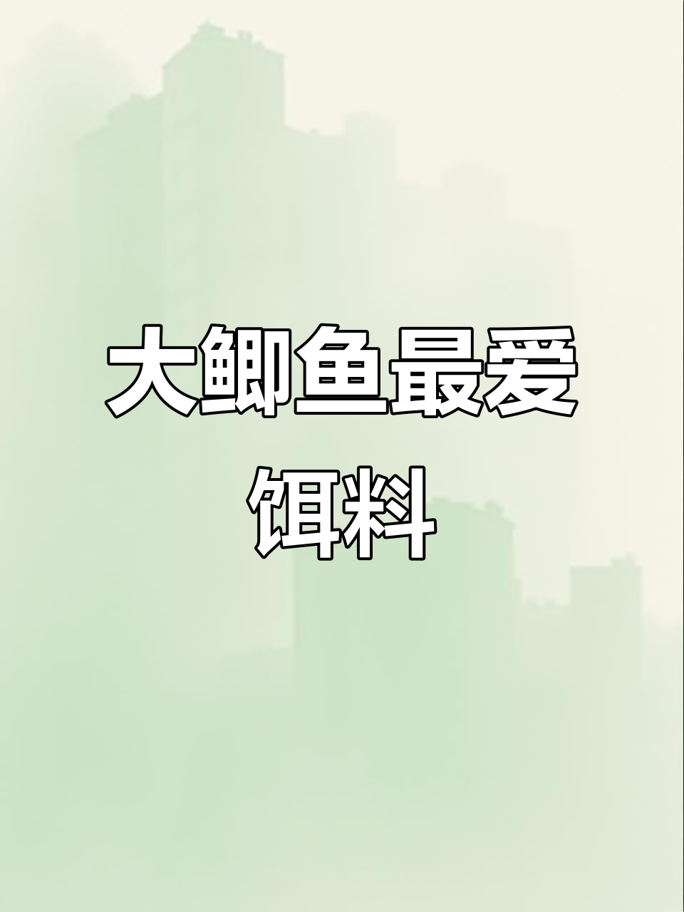 枸杞、味精搭配大鲫鲤,钓到手抽筋的秘密武器
